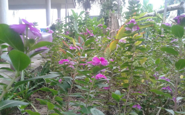 Pandan Beach Homestay