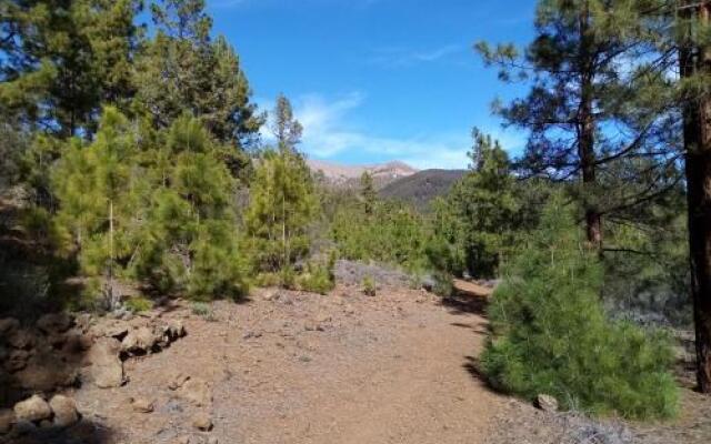 Ziggy's Mountain Retreat