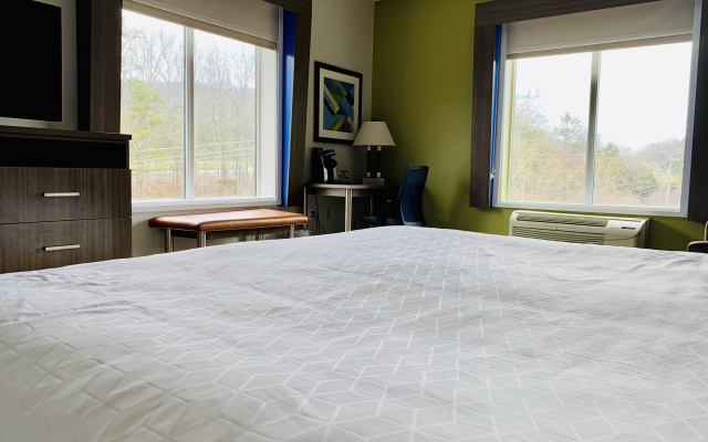 Holiday Inn Express Hotel & Suites Chattanooga-Lookout Mtn by IHG