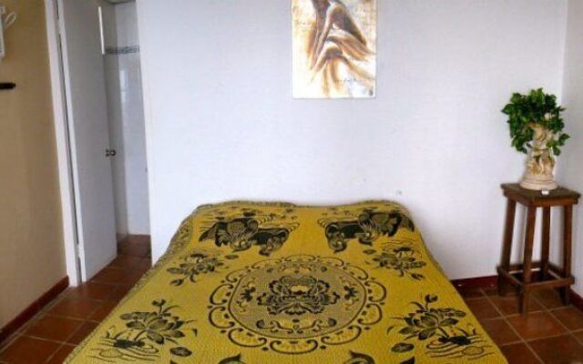 Panama Divers & Octopus Garden Dive Center