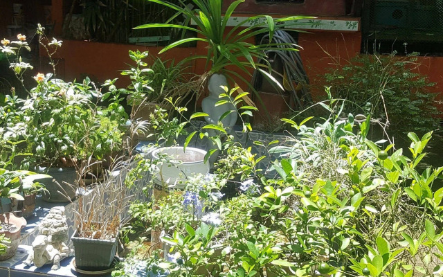 Dona Marta Boutique Hotel