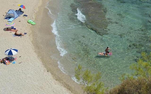 Studio Ermioni Fresh