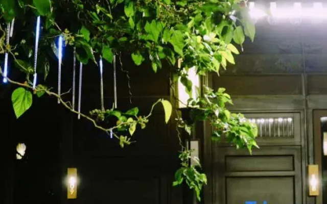 Elsewhere Hotel Inn North Street Branch