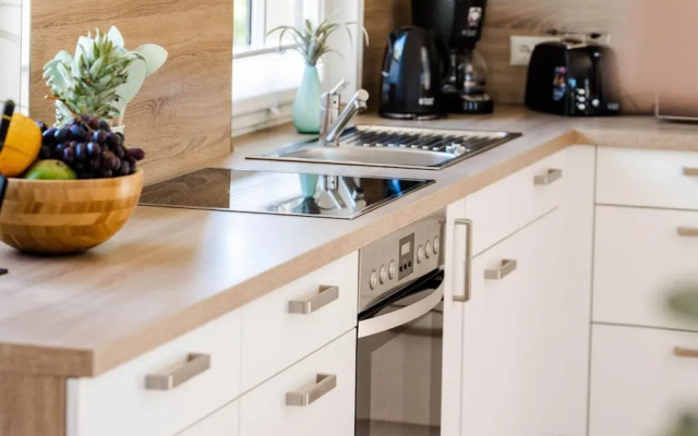 Holiday Home With Sauna in Boiensdorf