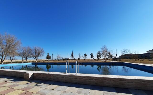 Электра Холидей