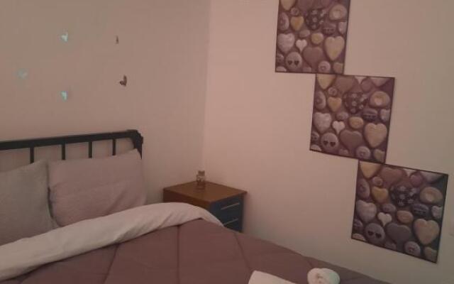 Evis Rooms