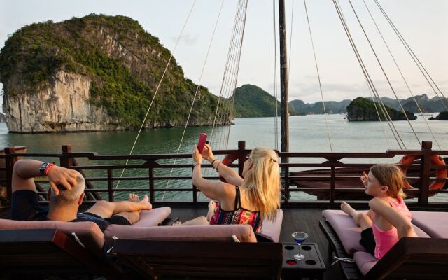 Apricot Premium Cruise