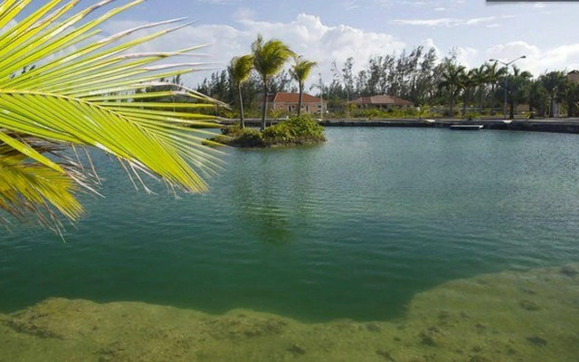 Taste of Paradise