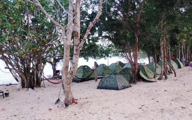 Plankton Bungalow and Camping