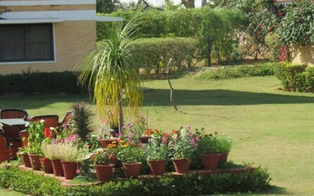 The Pushkar Ramblers Hub