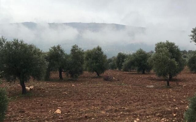 Ajloun Hotel