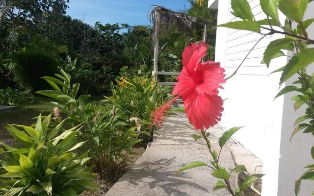 Vieques Tropical Guest House