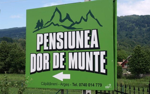 Pension Dor de munte