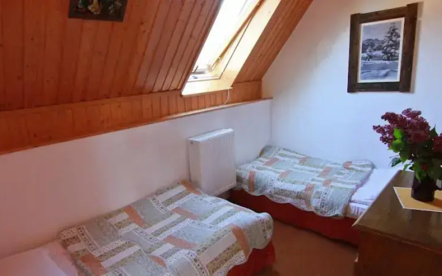 Modrzew