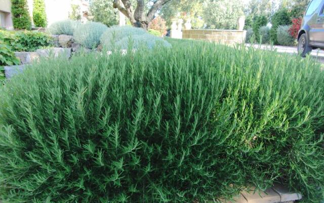 Locanda Degli Etruschi