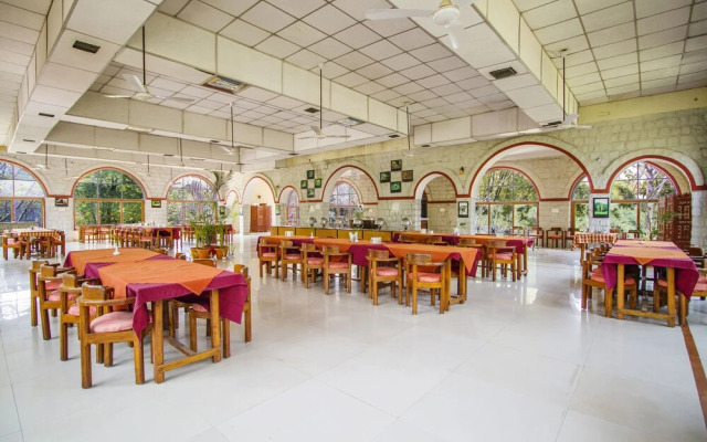 Jungle King Resort