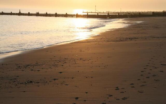 Seals Bacton