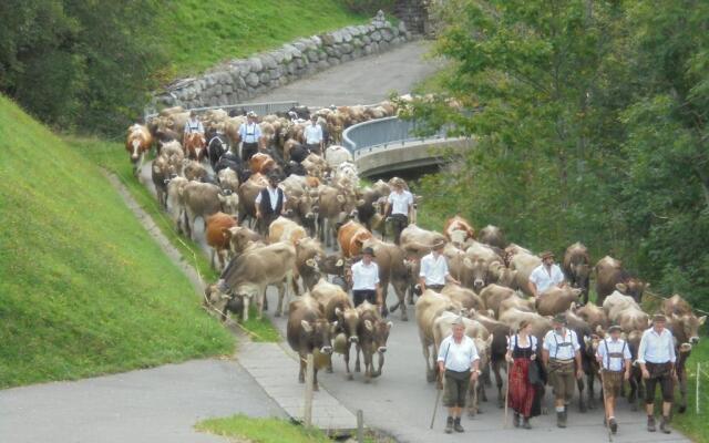 Ferienhaus Nussbaumer