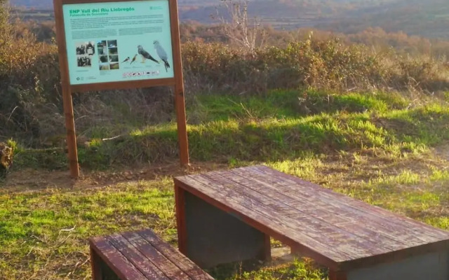 La Casa Dels Ocells- Adults Only