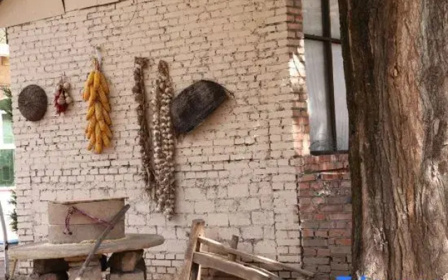 Yan'an Xinyuan Cave Homestay