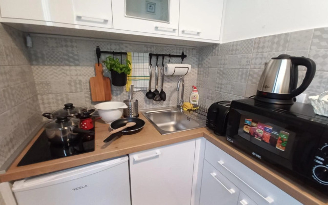 Apartment Balkanska City Center