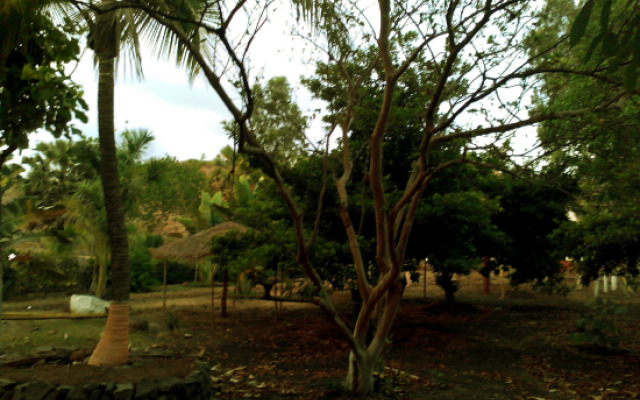 Ecowoods Agrotourism