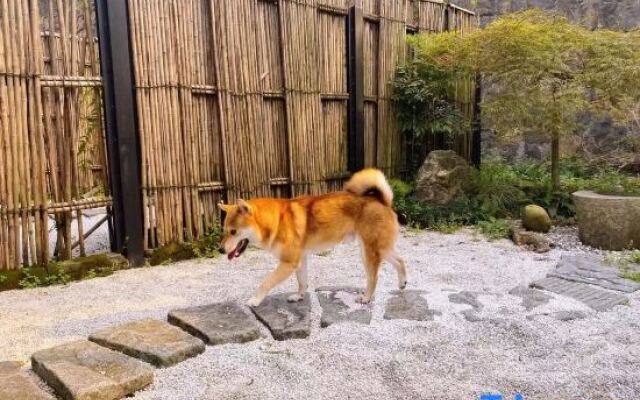 Moganshan·Original Jie Mountain Viewing Sea of Clouds B&B