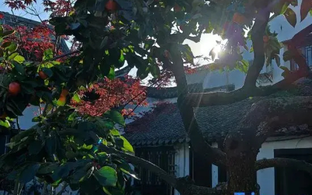 Xiansheng Duimen Traditional Chinese Medicine Wellness Homestay