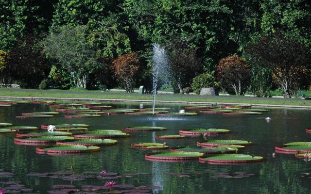 Grand Mulya Bogor