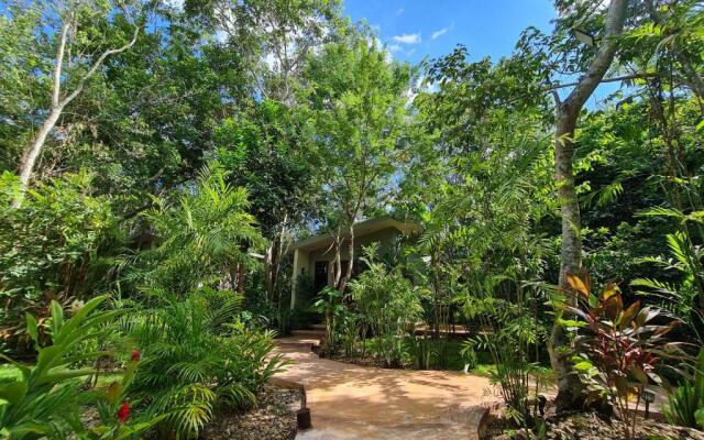 Secret Gardens Bacalar Suite 01 con alberca y bicicletas