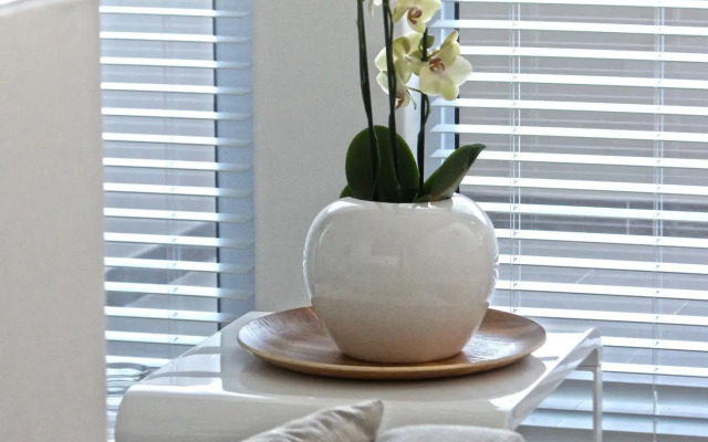 Swakopmund Luxury Suites