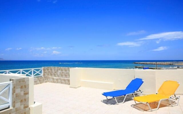 Iris apt Swim sunbathe relax  beachfront