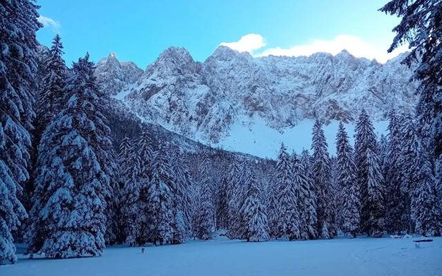 Secluded Apartment in Ferlach near Bodental Ski Lift