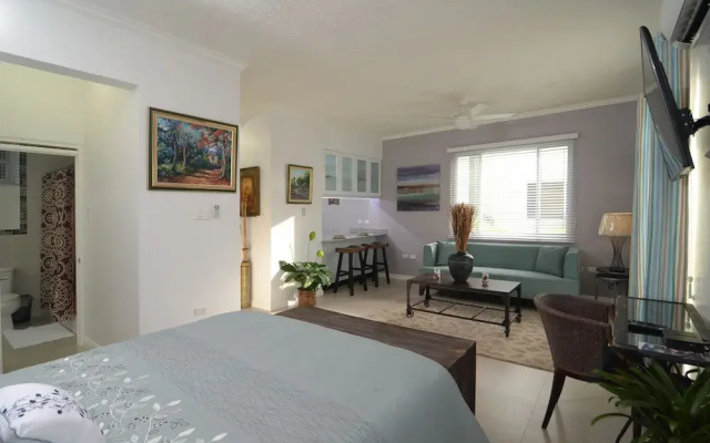 New Kingston Central Guest Apartment