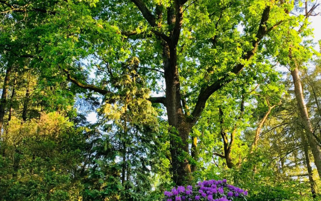 Gouden Hert: relaxen in comfort! #otterlo #hogeveluwe