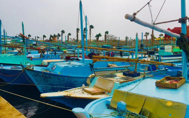 Panda House Sheraton Road