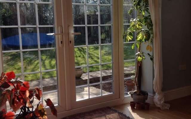 The Summer Room