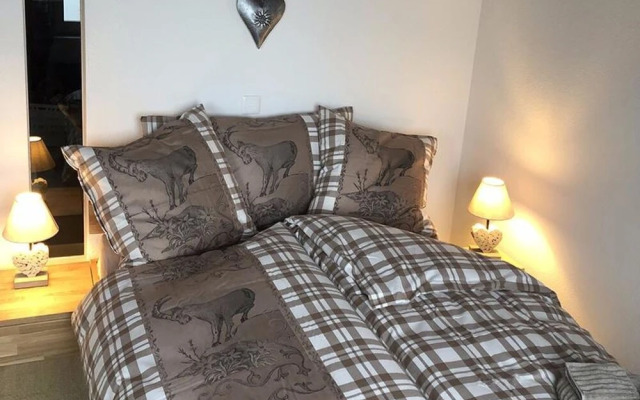 Cosy Chalet Engelberg