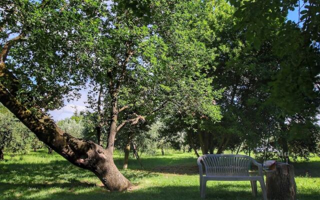 Cozy Retreat, Colle val D'elsa