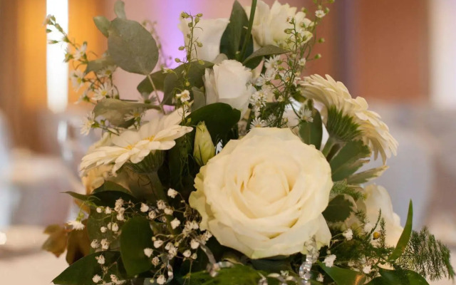 Roganstown Hotel & Country Club