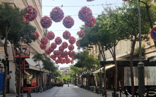 jaffa 17 shani studio suite