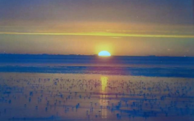 Pets Stay Free 3 Bedroom Caravan at Heacham Beach