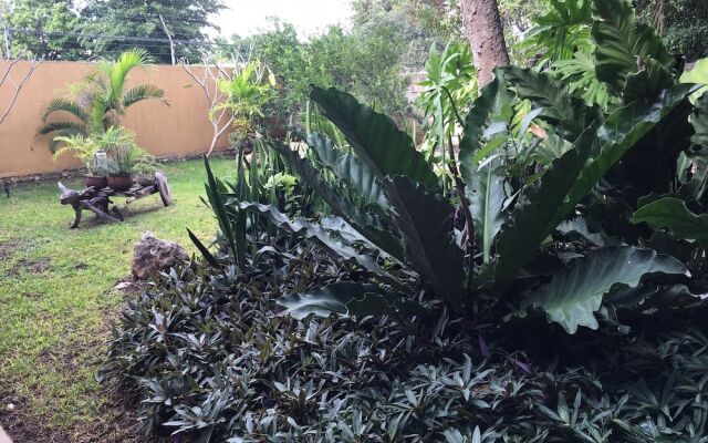 Merida Casa Colonial Centro Suite