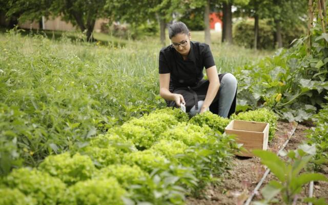 Herdade da Matinha Country House & Restaurant