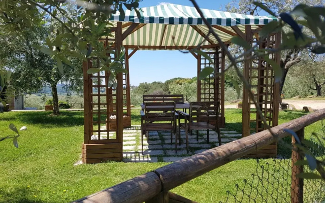 Agriturismo Il Pintello
