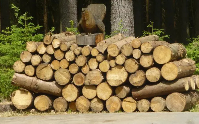 Pension zur Försterei