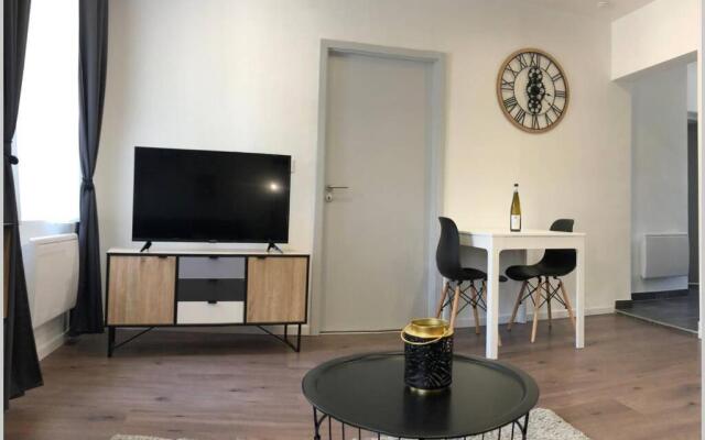 S'capades Mulhouse - Rénové 2021 - Wifi/Netflix