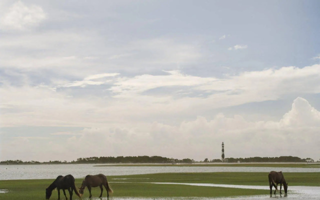 Quality Hotel Morehead City