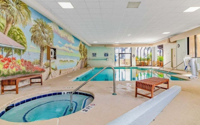 Ocean Forest 309