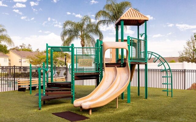 Celebrate at Club Cortile